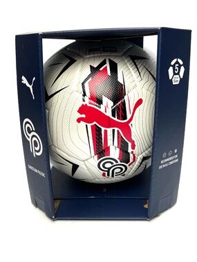 Puma Soccer Ball Size 5 Christian Pulisic Never Stop Performance White Red Black